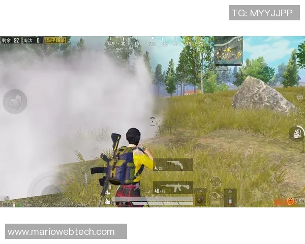 和平精英战术解析：深入探讨RNG战队的快速攻势策略与执行细节